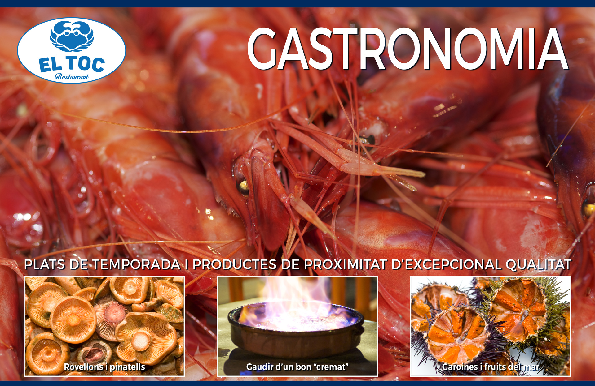 GASTRONOMI